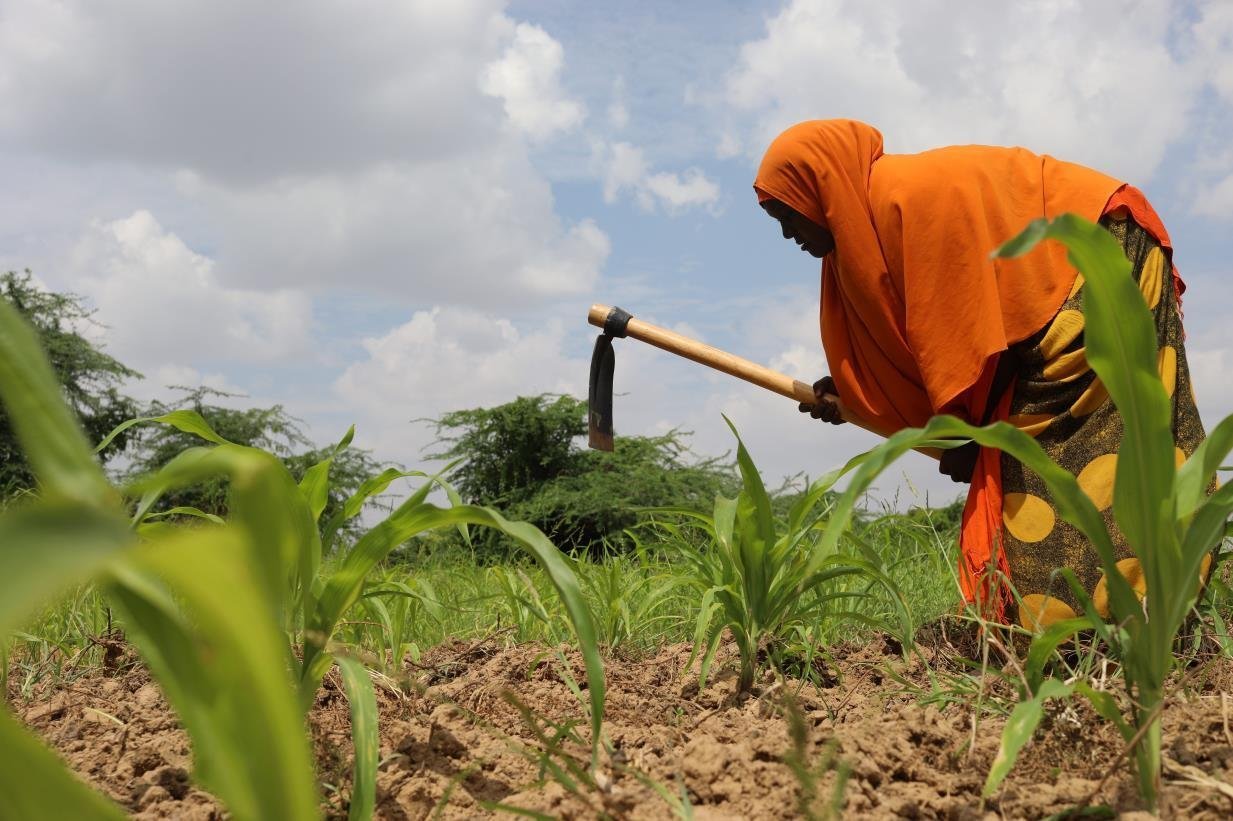 خدمات تسكينية في الرياض – حلول متكاملة من PAS لراحة شركتك وموظفيك